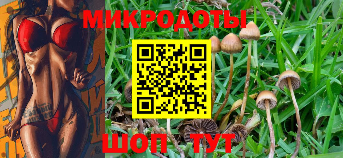 Ноябрьск  Псилоцибиновые грибы ЛСД  дарнет шоп  Вход с VPN 